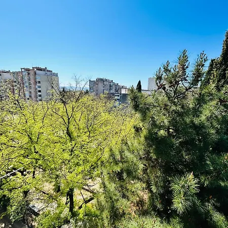 Apartment Designer Frame *