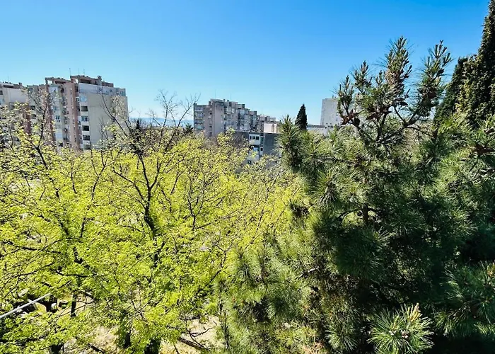 Apartment Designer Frame *